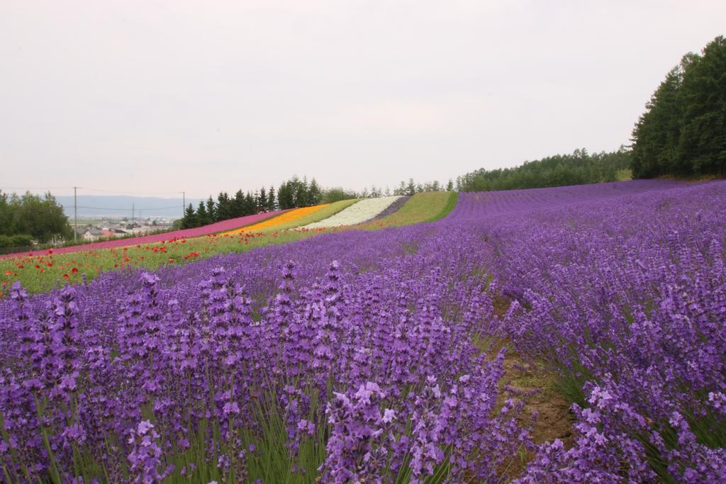 Furano Shiyuirin Hotell Kamifurano Exteriör bild